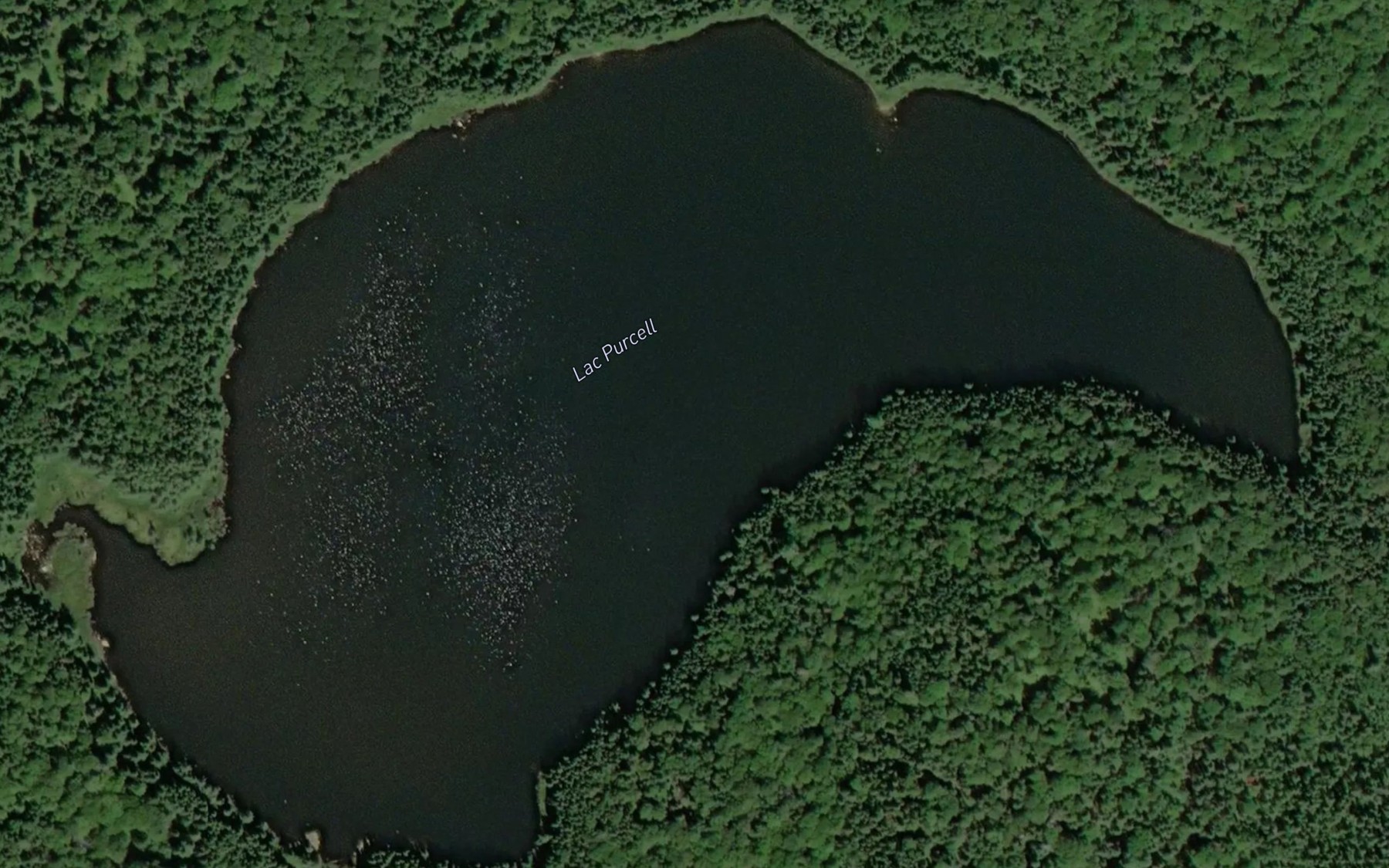 Satellite map of the Lac Purcell