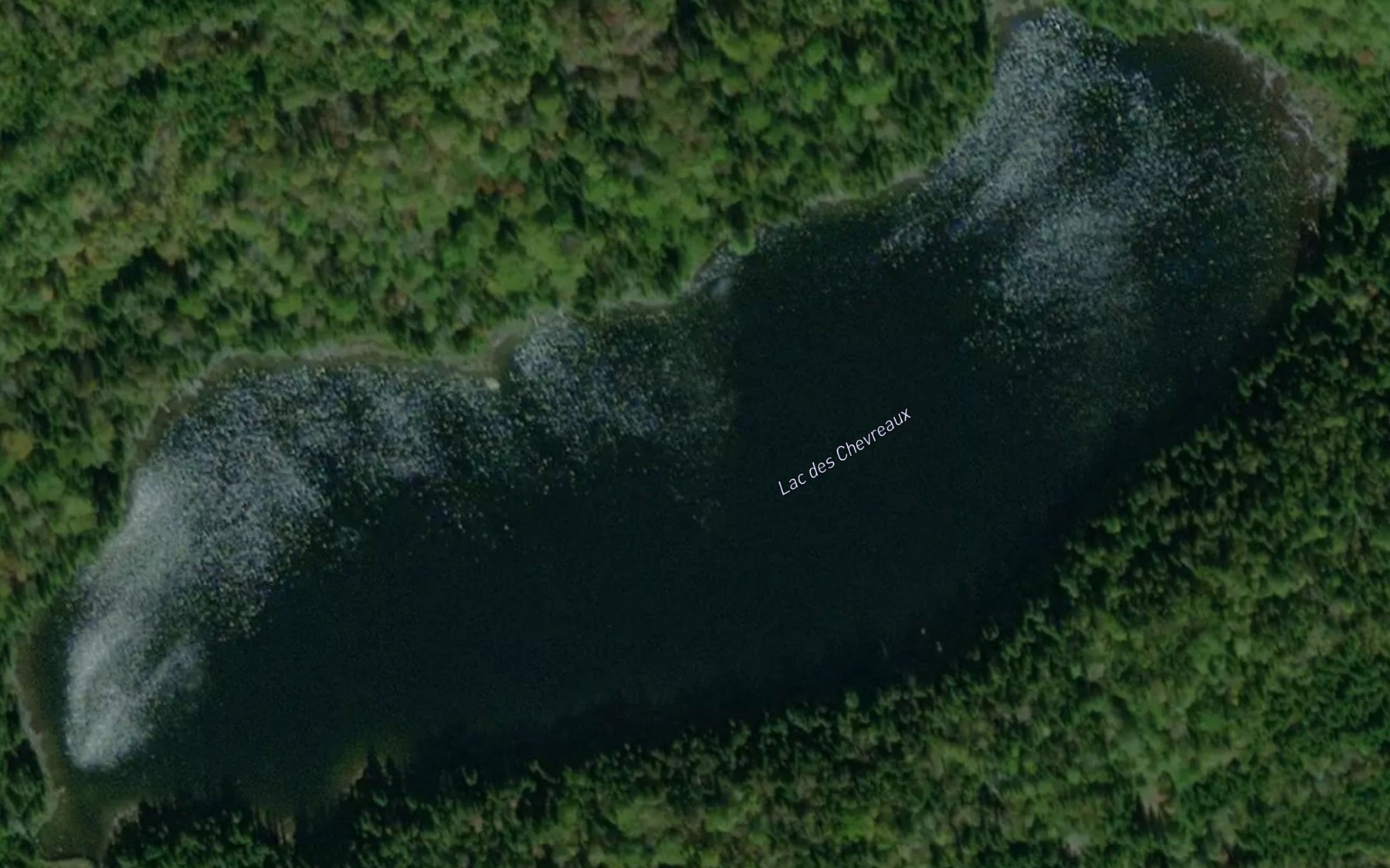 Satellite map of the Lac des Chevreaux