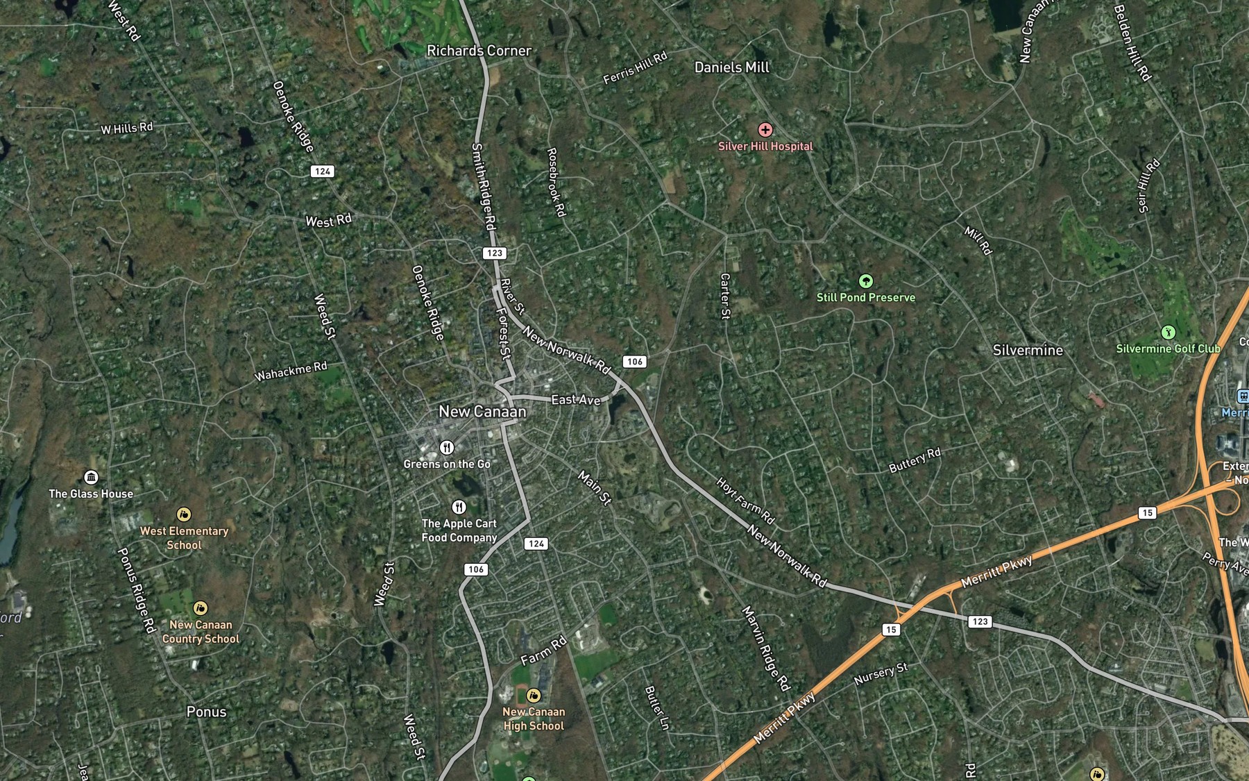Satellite map of the Nichols Pond