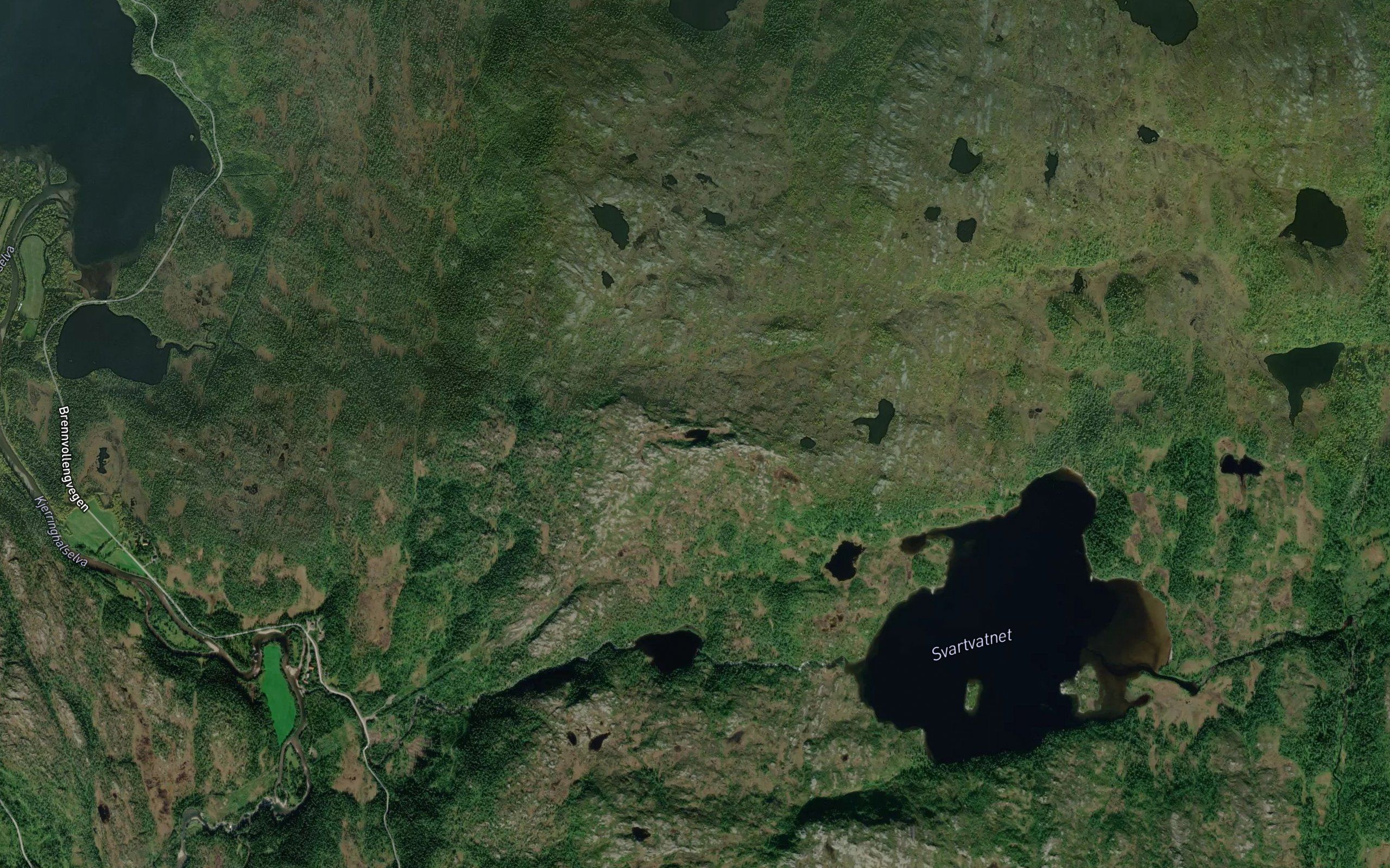 Overgranskartjonna