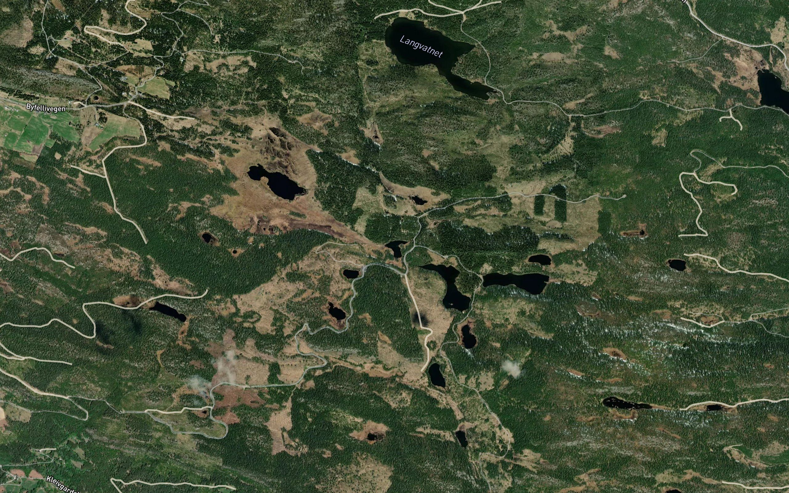 Andtjednet