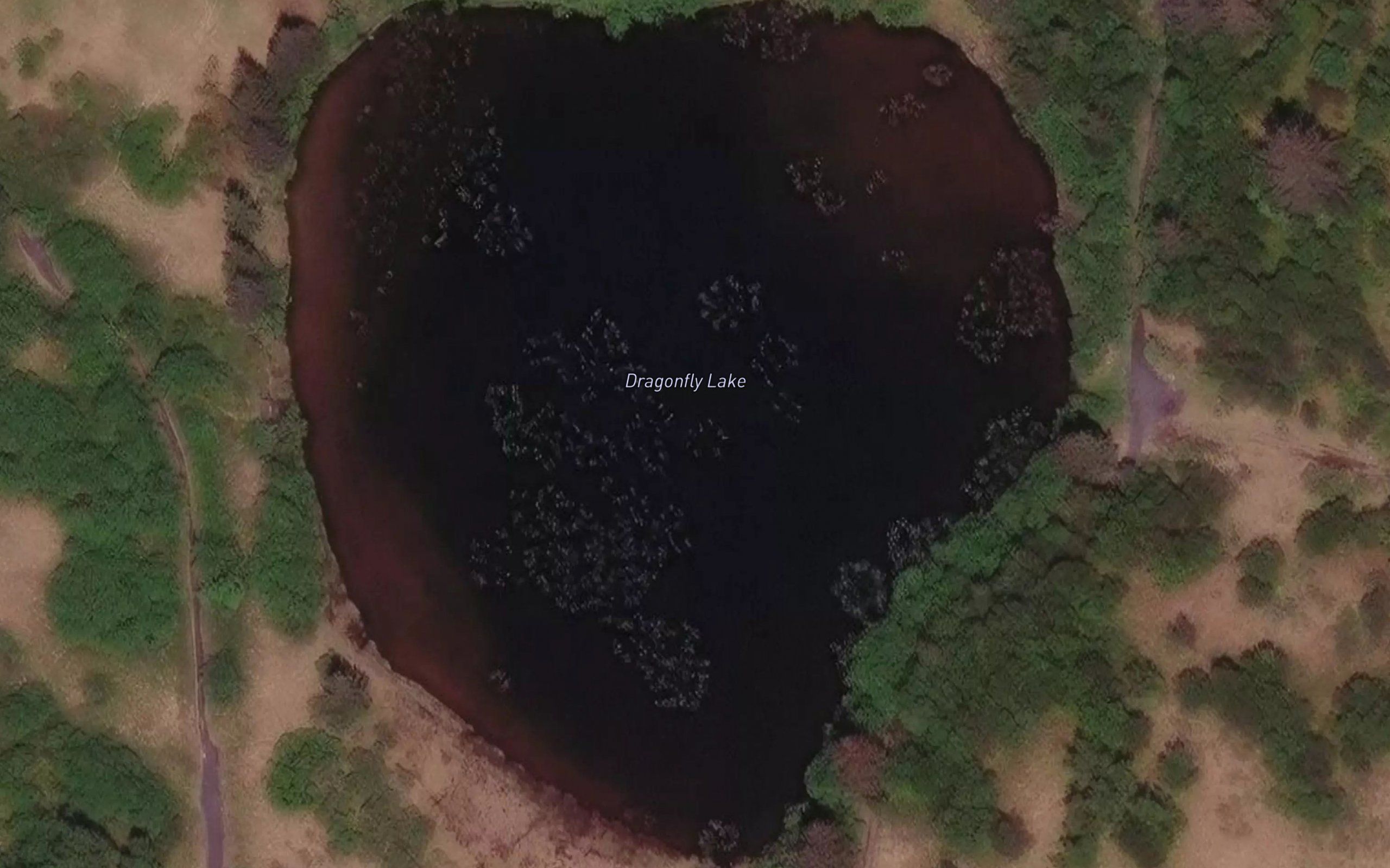 Dragonfly Lake