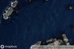 Nord-Ellingrasa