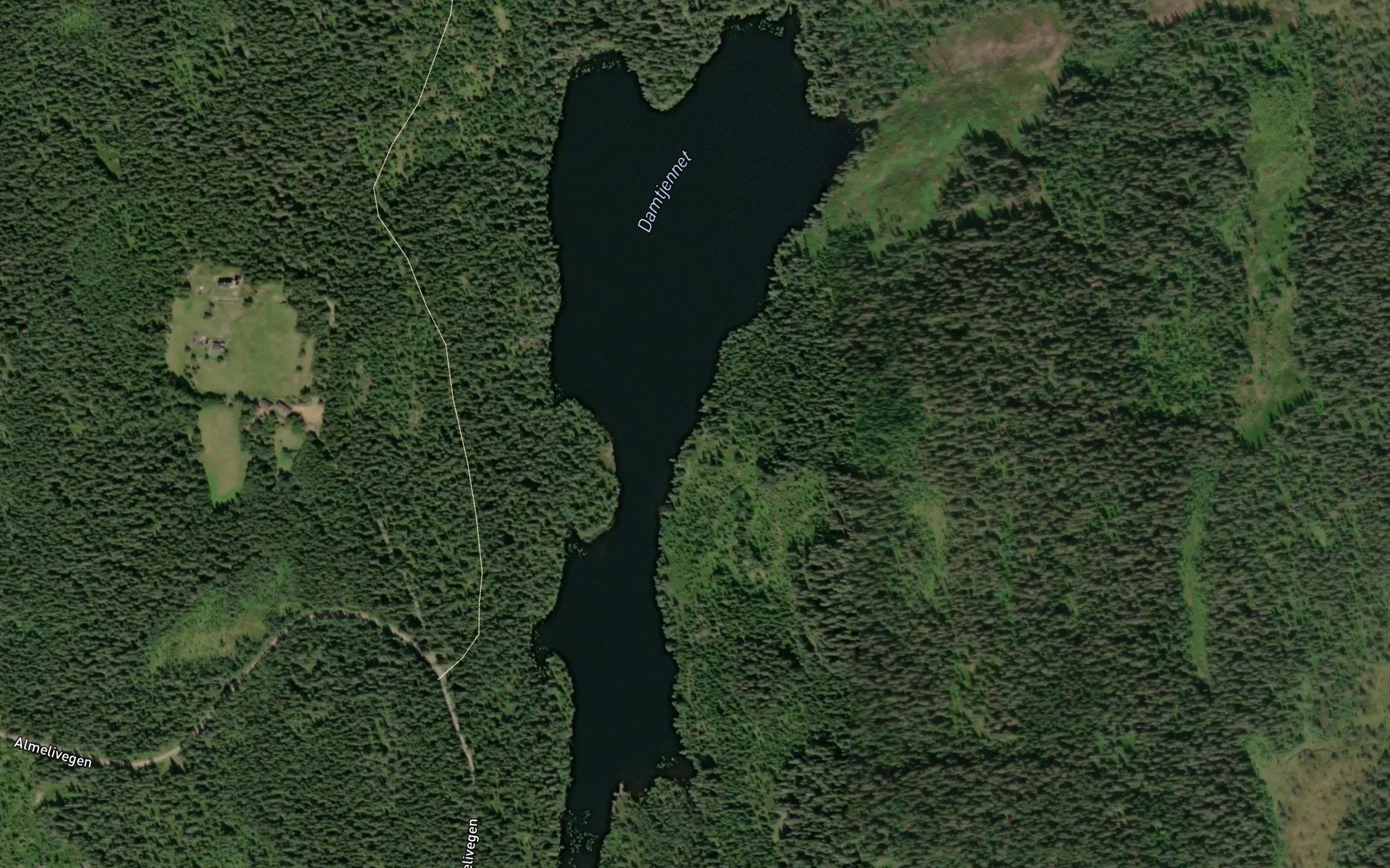 Damtjernet