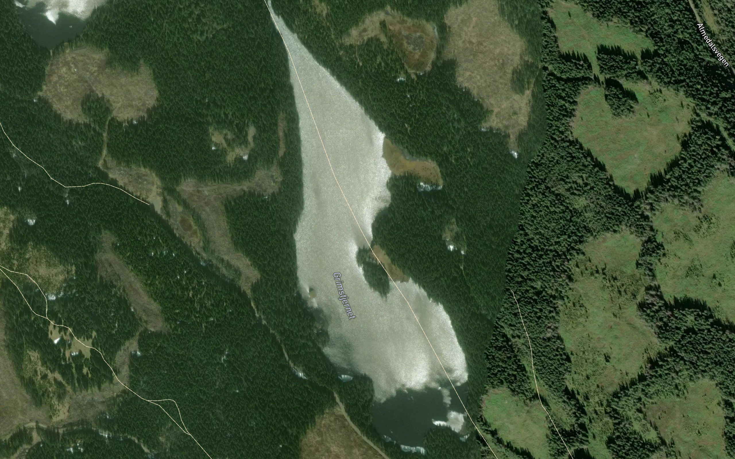 Grimstjernet