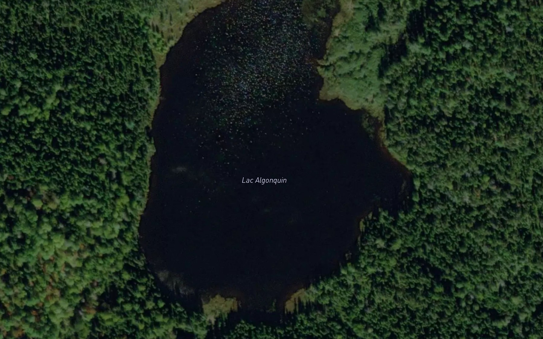 Satellite map of the Lac Algonquin