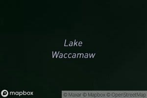 Lake Waccamaw