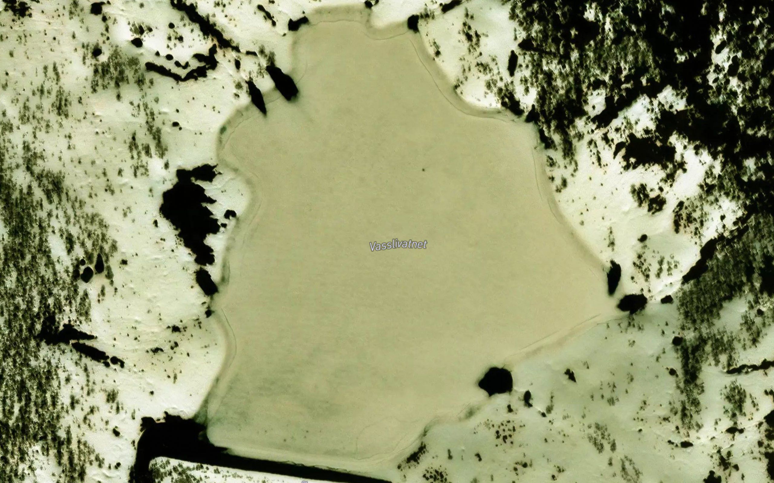 Vasslivatnet