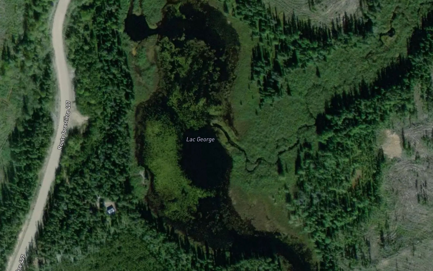 Satellite map of the Lac George