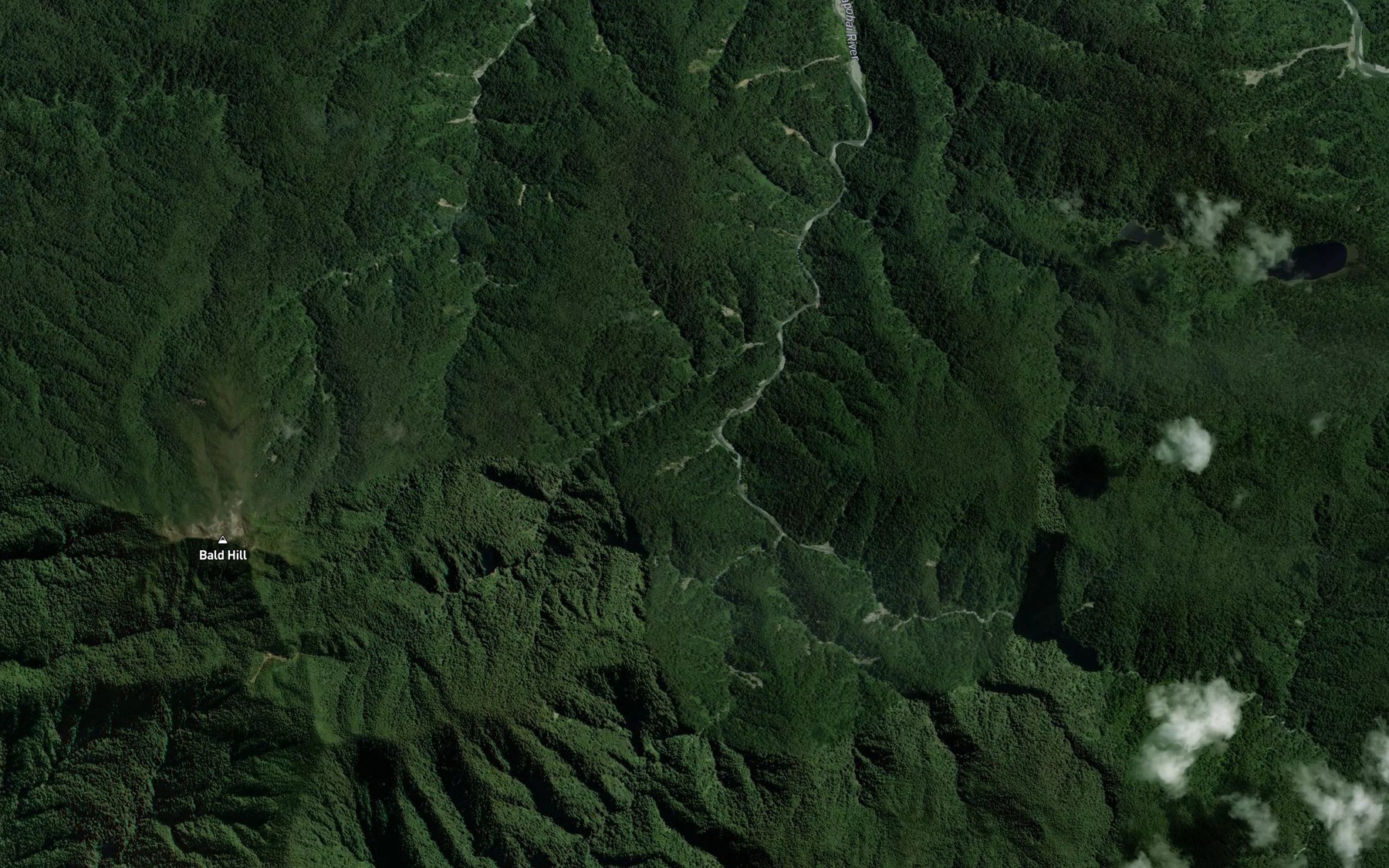 Satellite map of the Whakapohai River