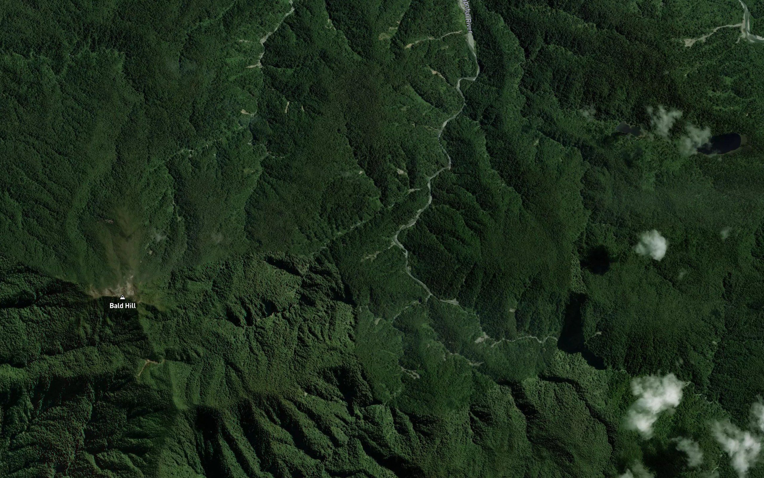 Whakapohai River