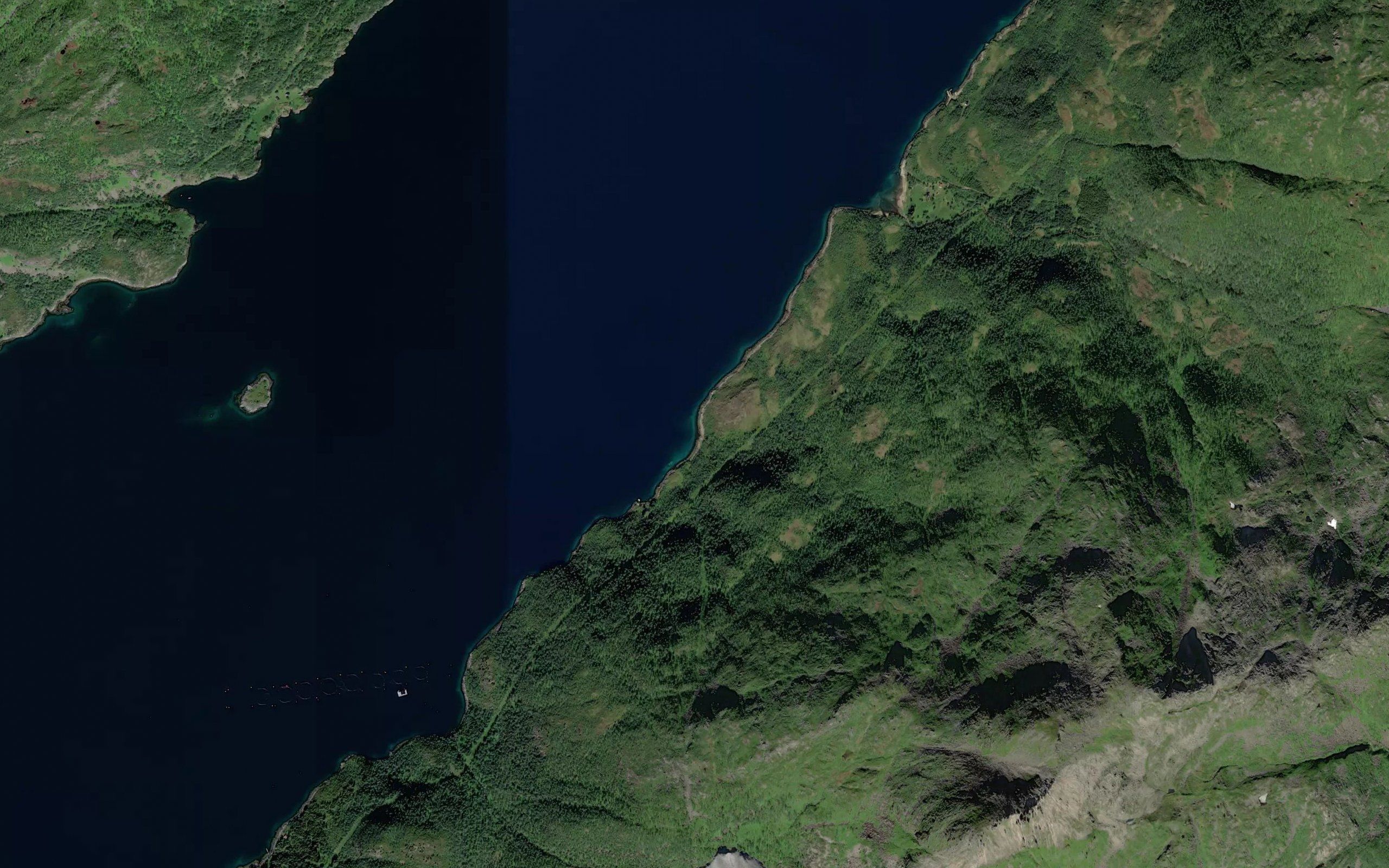 Skavvika