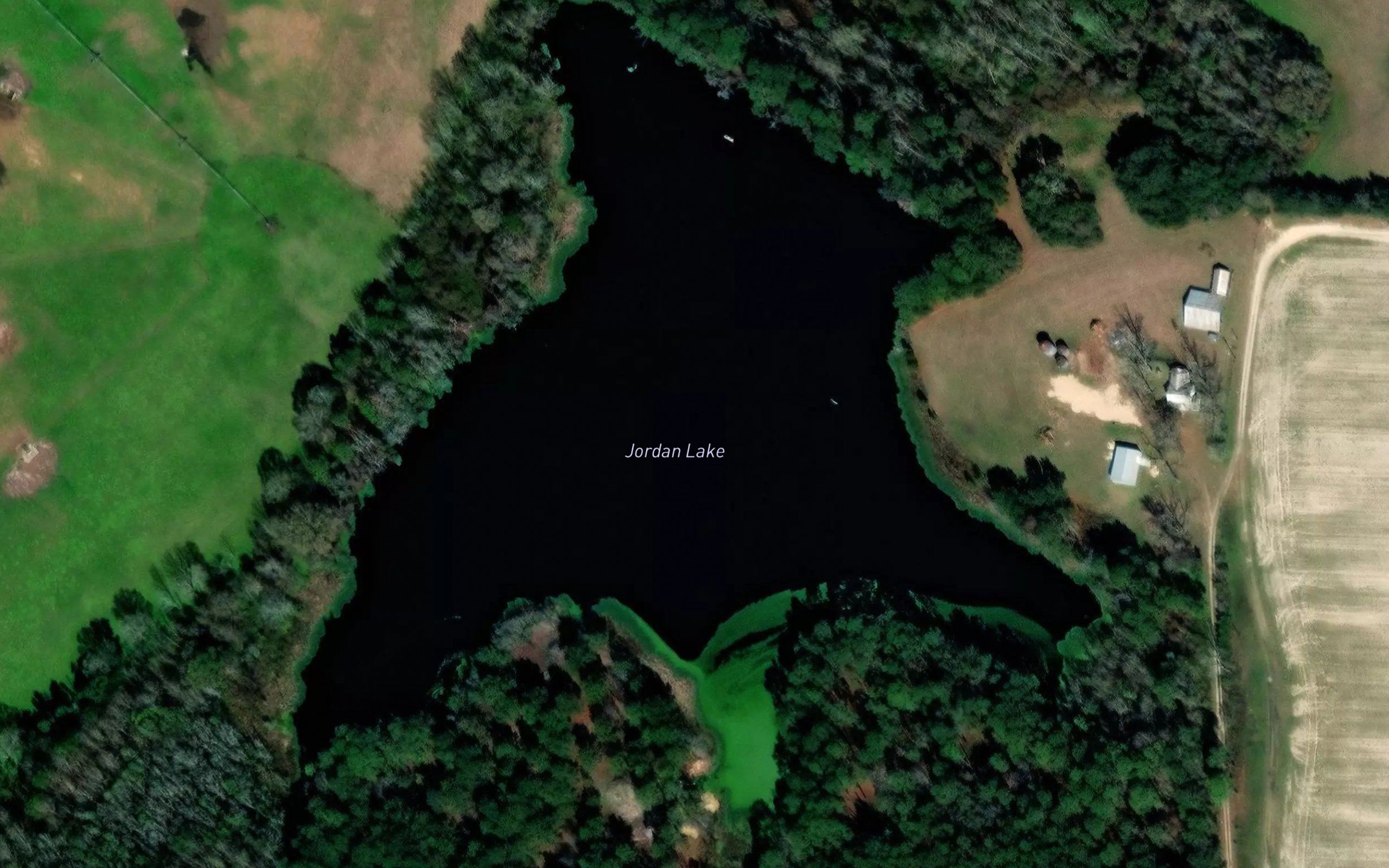 Jordan Lake