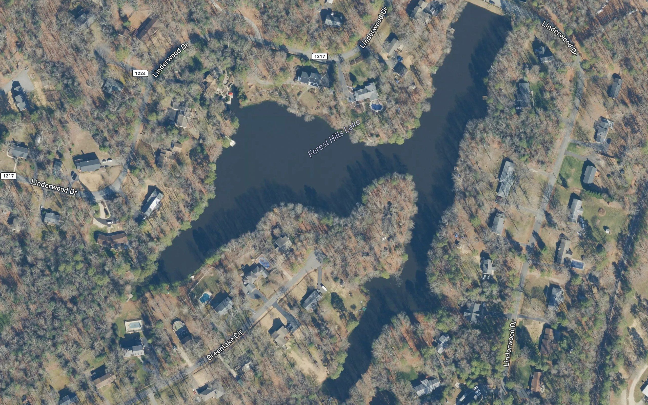 Forest Hills Lake