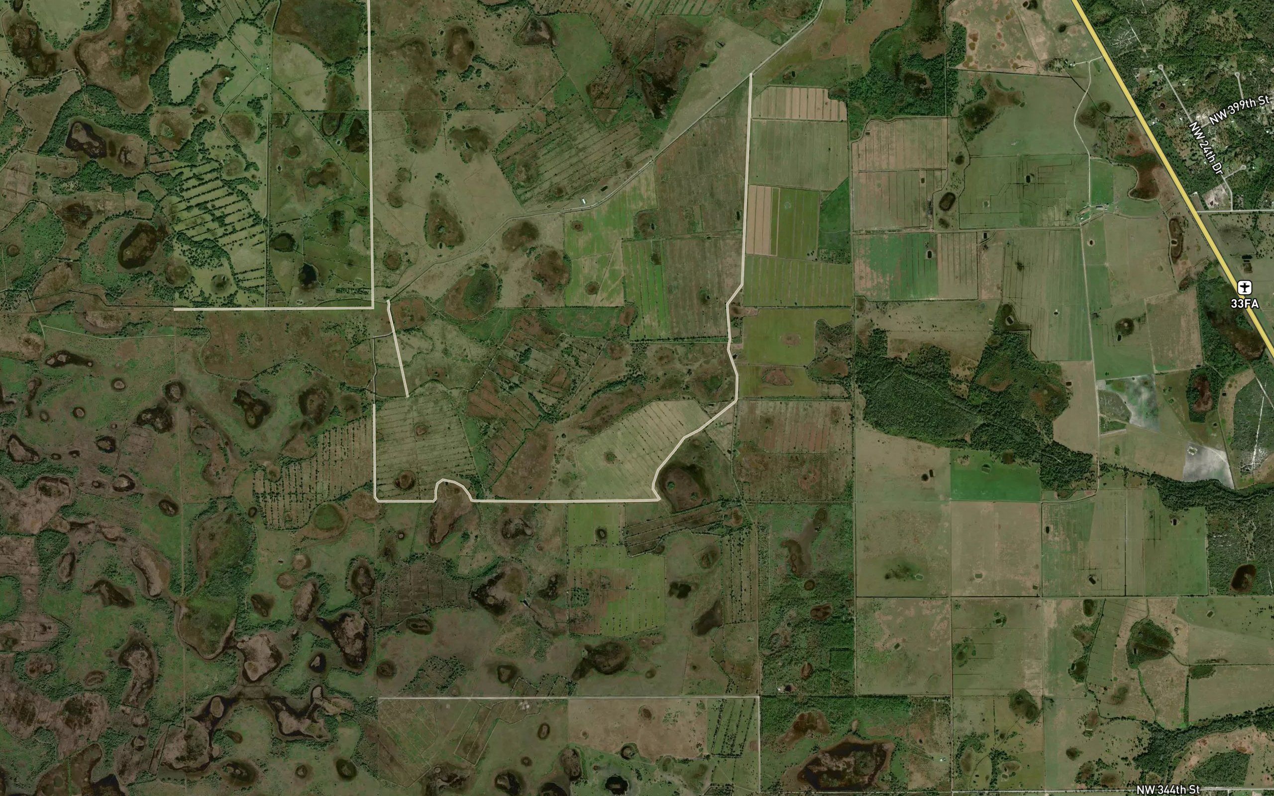 Switchgrass Slough