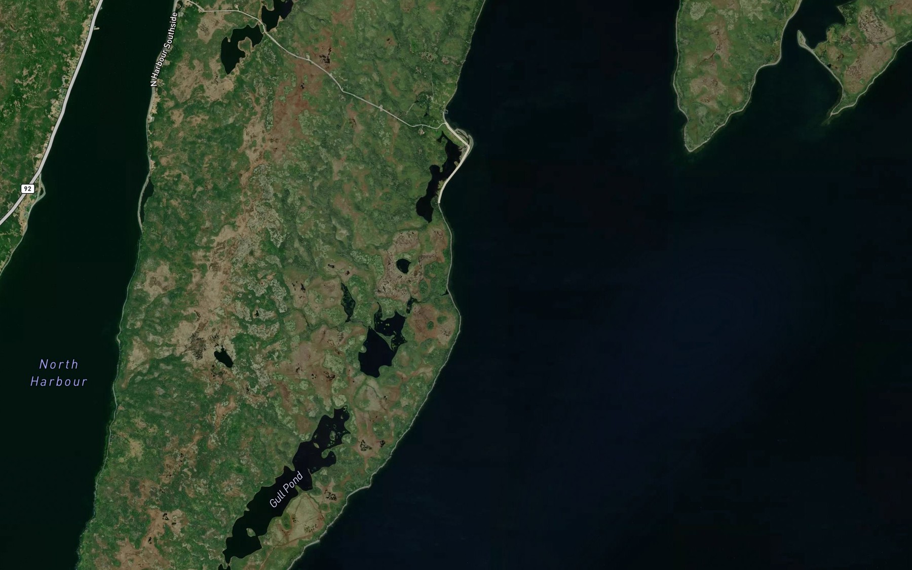 Satellite map of the Tobins Cove