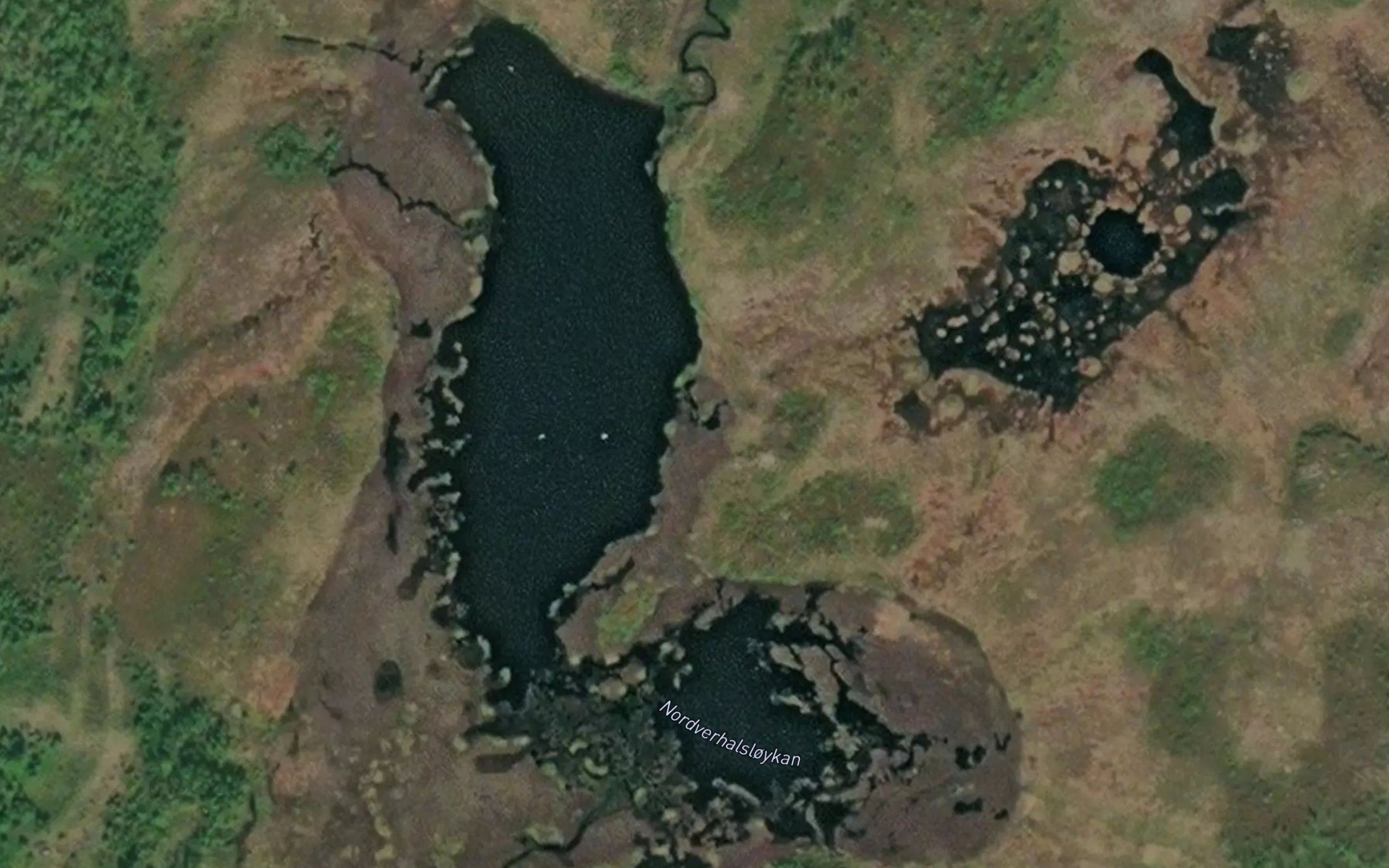 Nordverhalsloykan