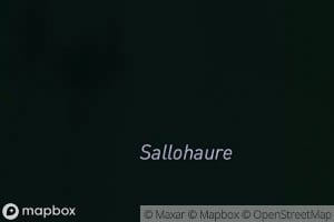 Sallohaure