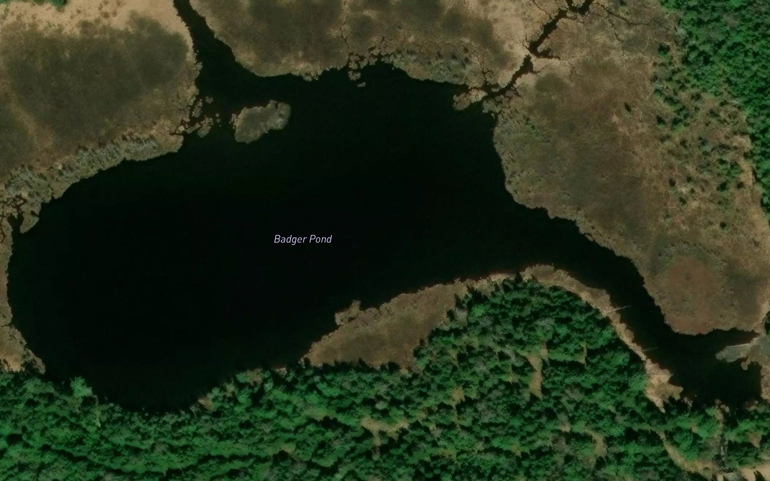 Badger Pond