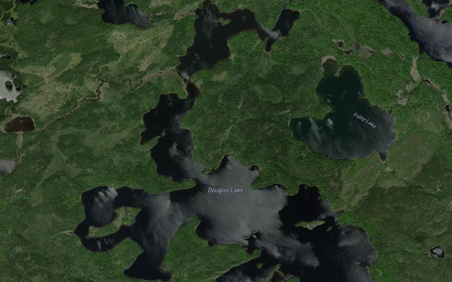 Satellite map of the Douglas Lake