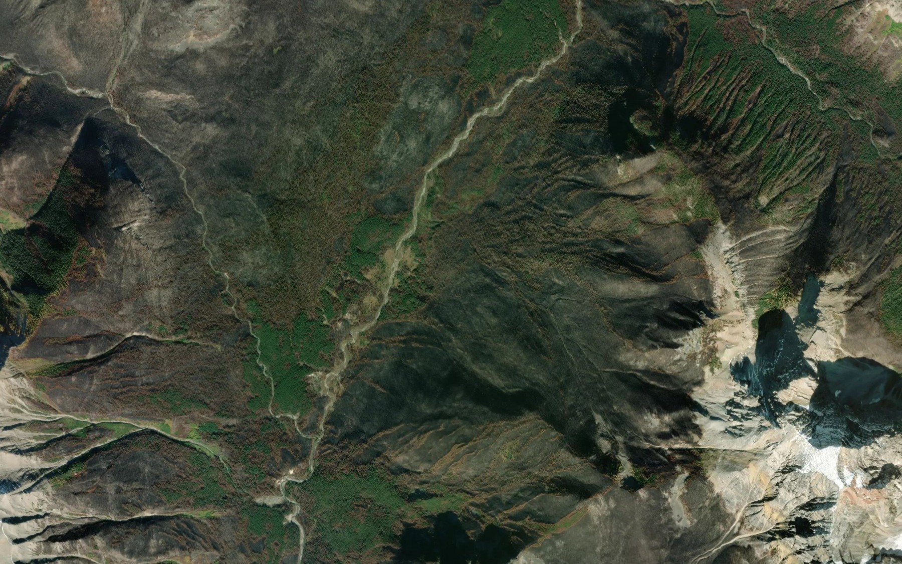 Satellite map of the Packer Creek