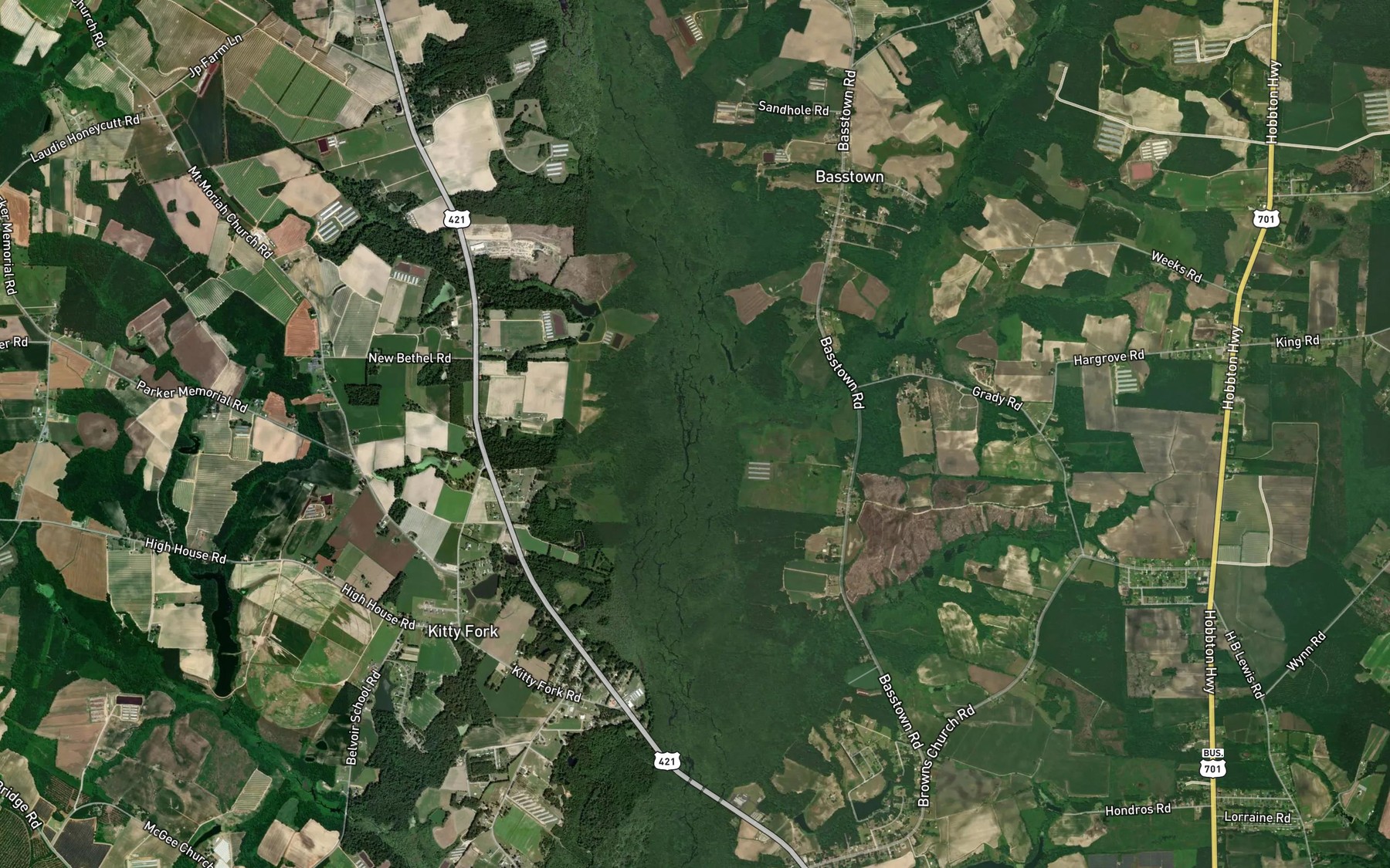 Satellite map of the Beaverdam Swamp