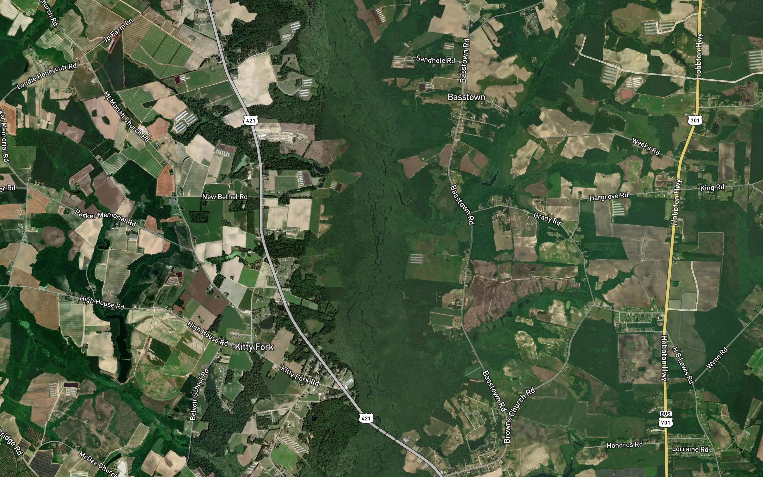 Beaverdam Swamp