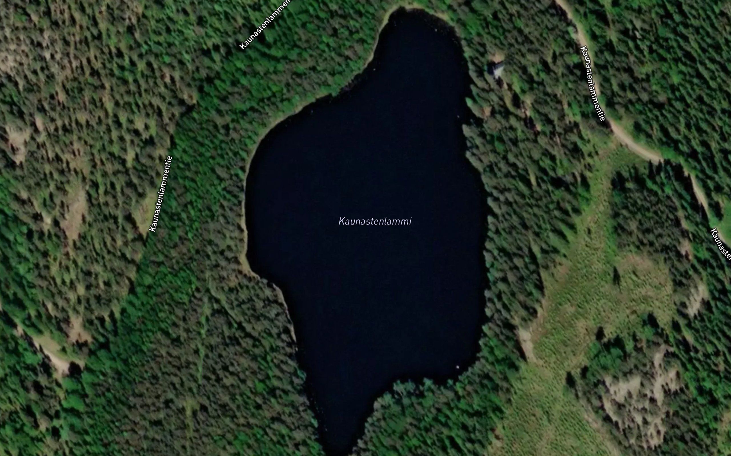 Kaunastenlammi