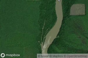 Bayou Tola