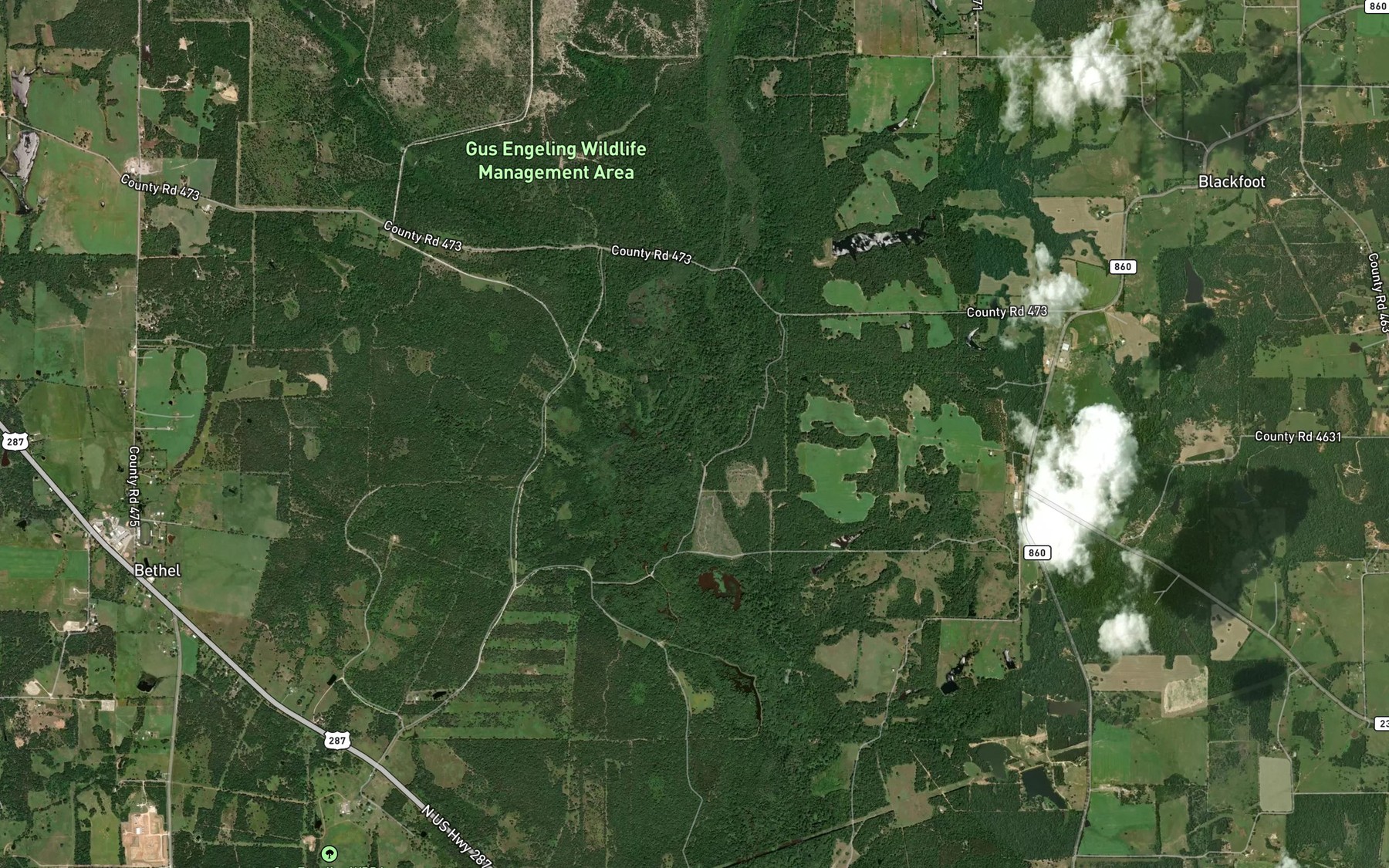 Satellite map of the Long Branch