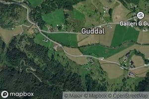 Guddalselva