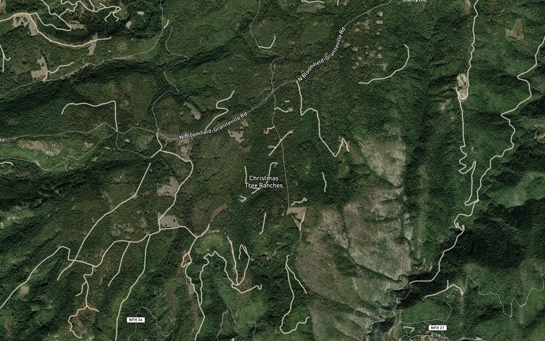 Satellite map of the Big Lick Spring