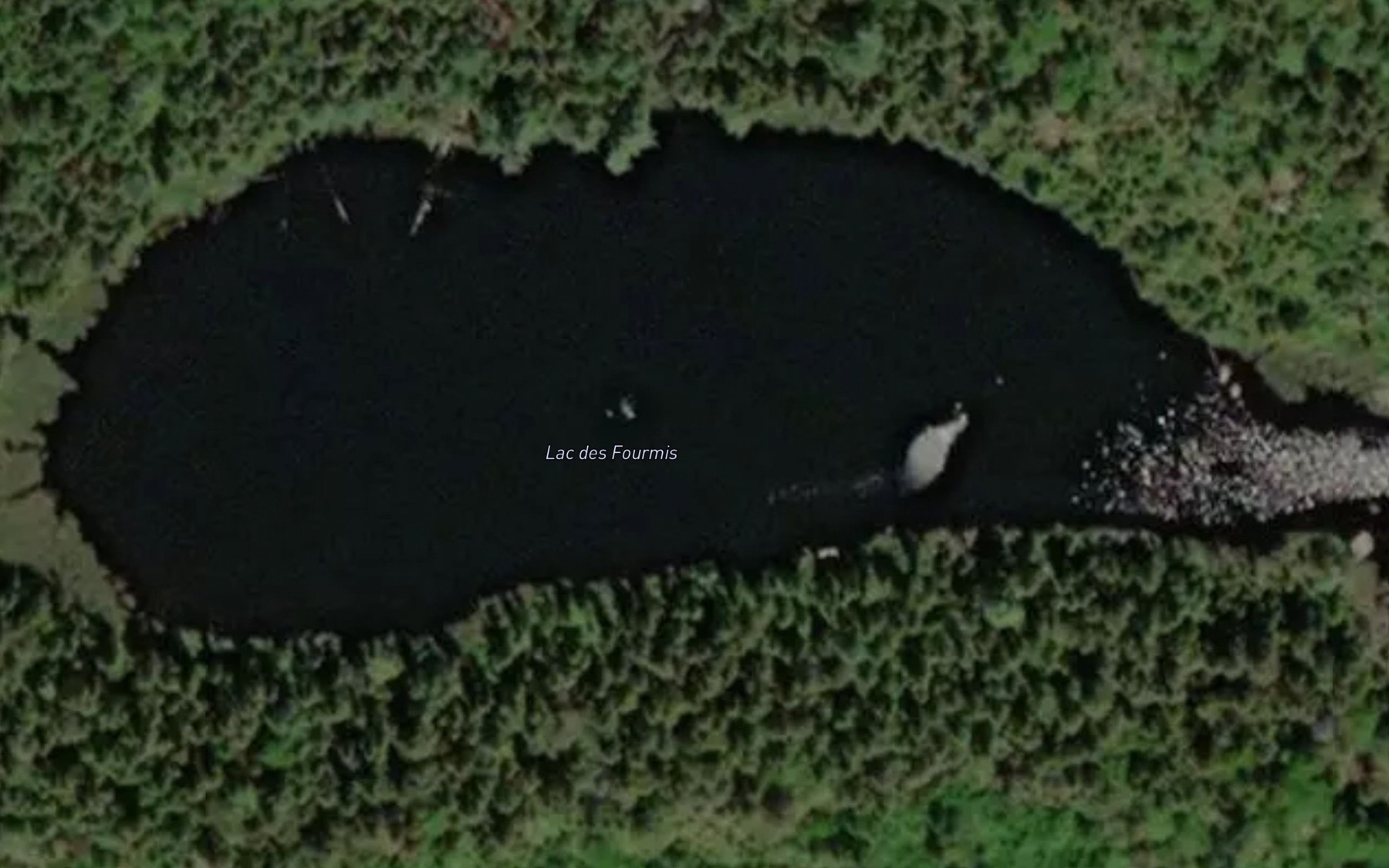 Satellite map of the Lac des Fourmis