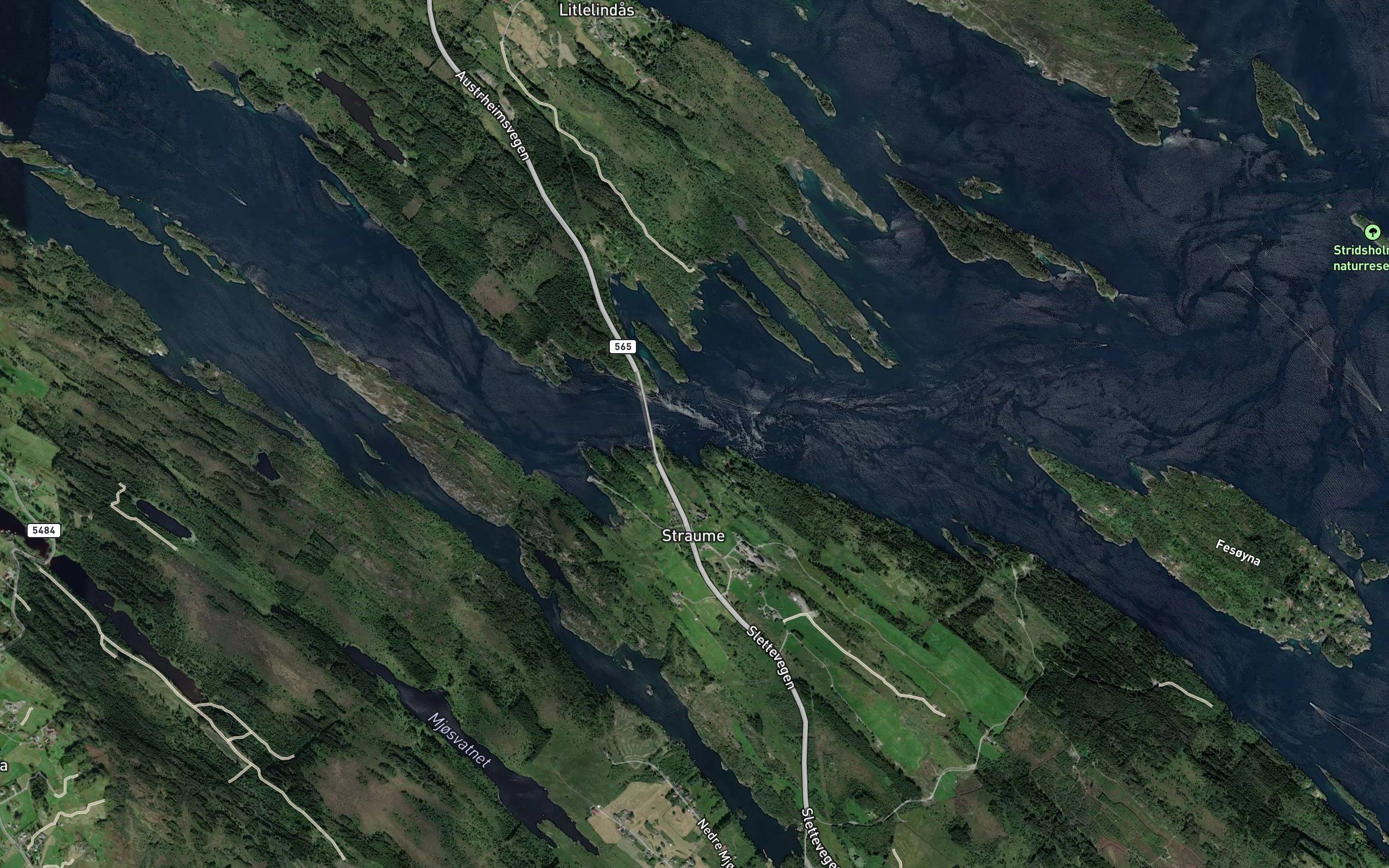 Klubbeflui