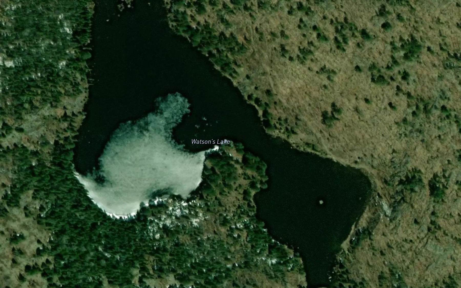 Satellite map of the Watson's Lake