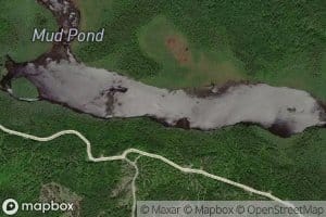Mud Pond
