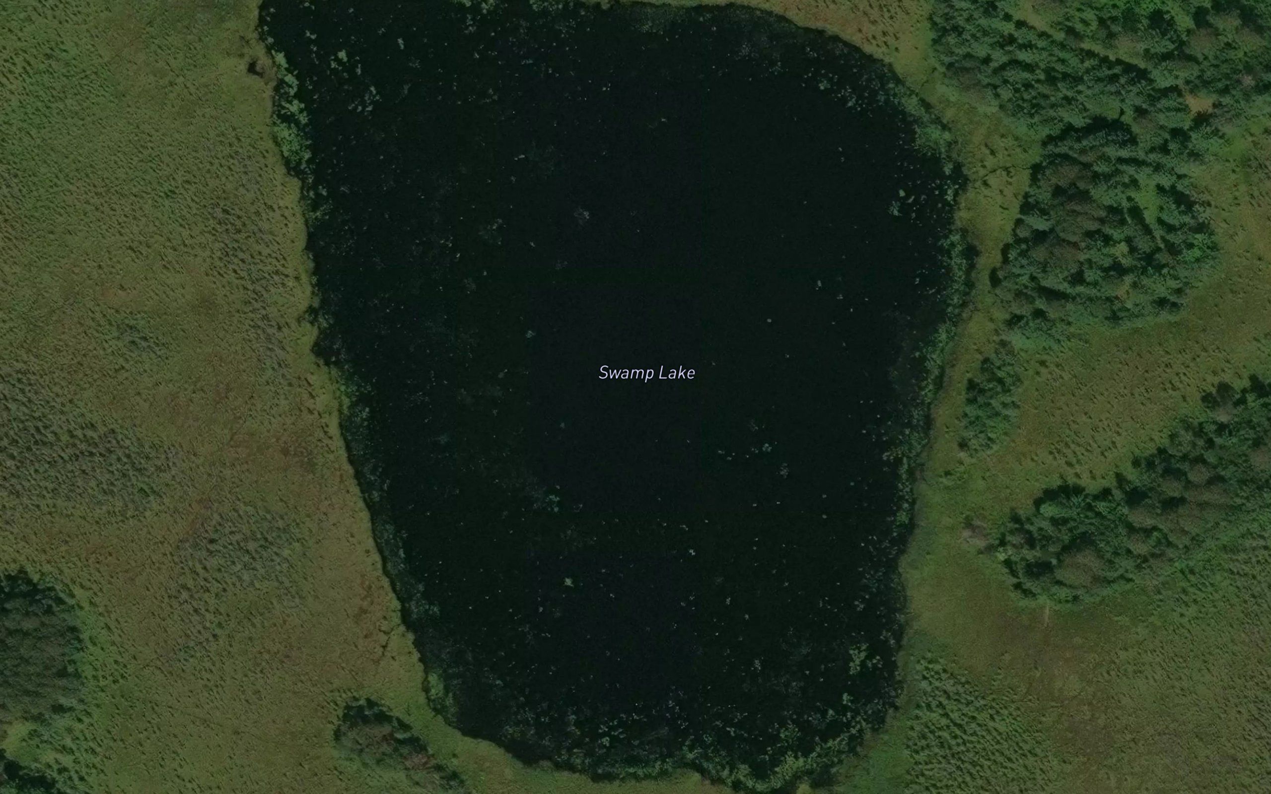 Swamp Lake