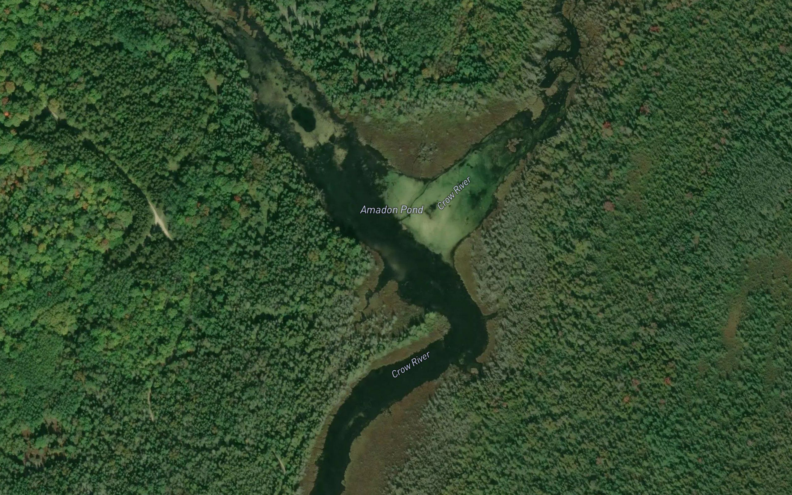 Amadon Pond
