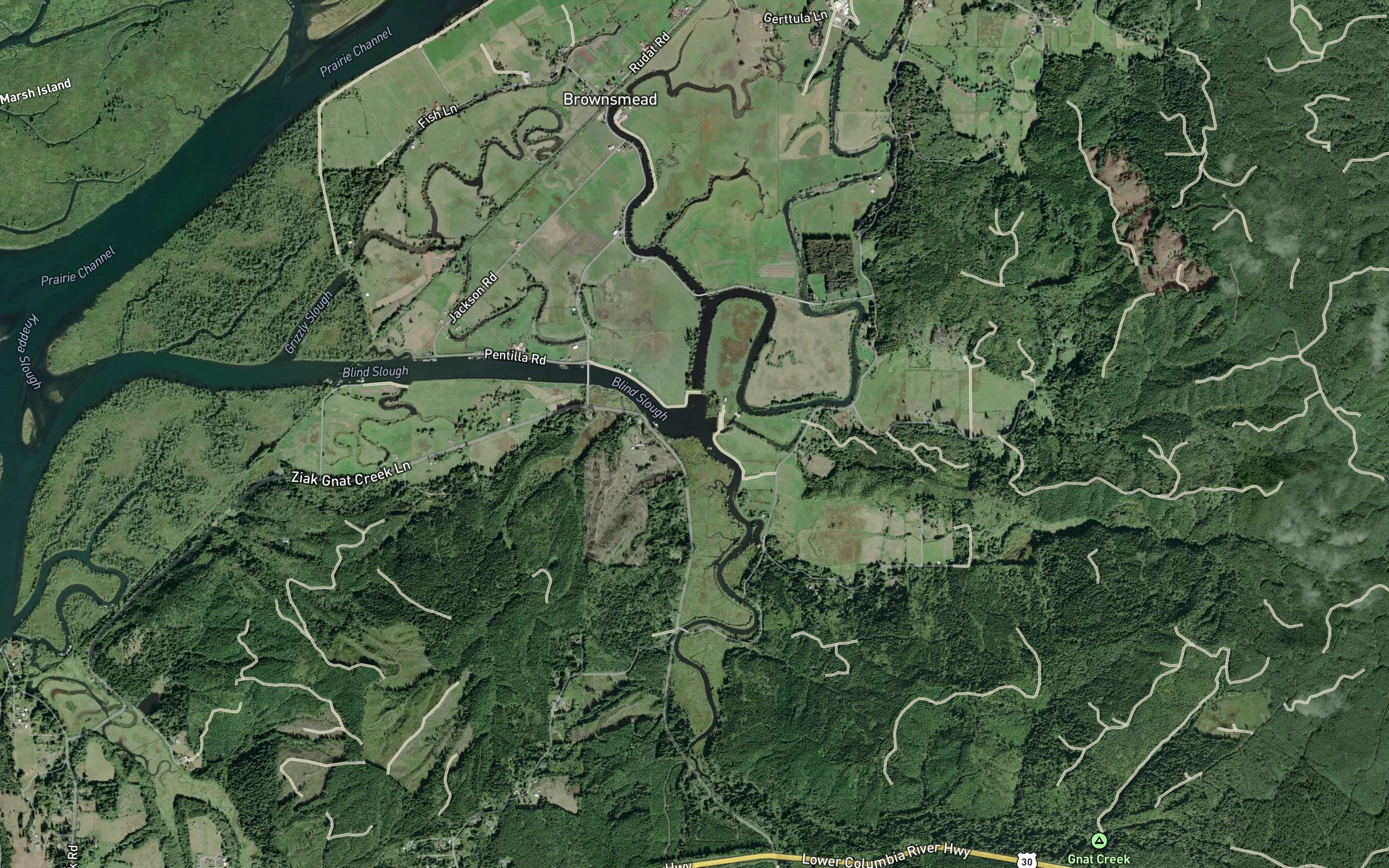 Gnat Creek