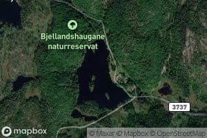 Bjellandstjenn