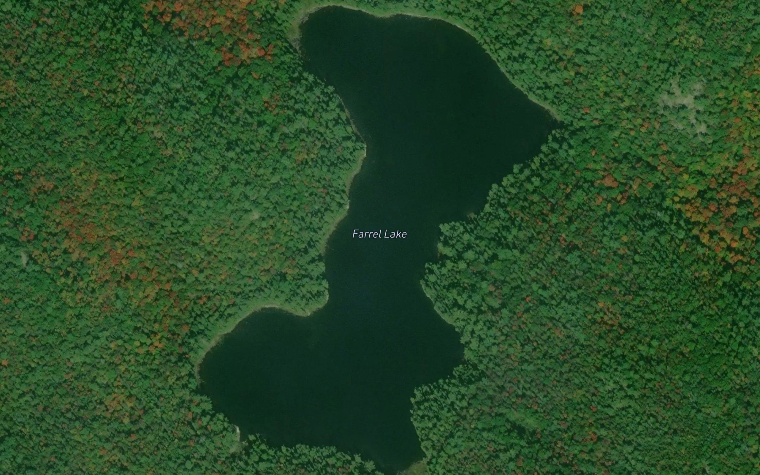 Farrel Lake