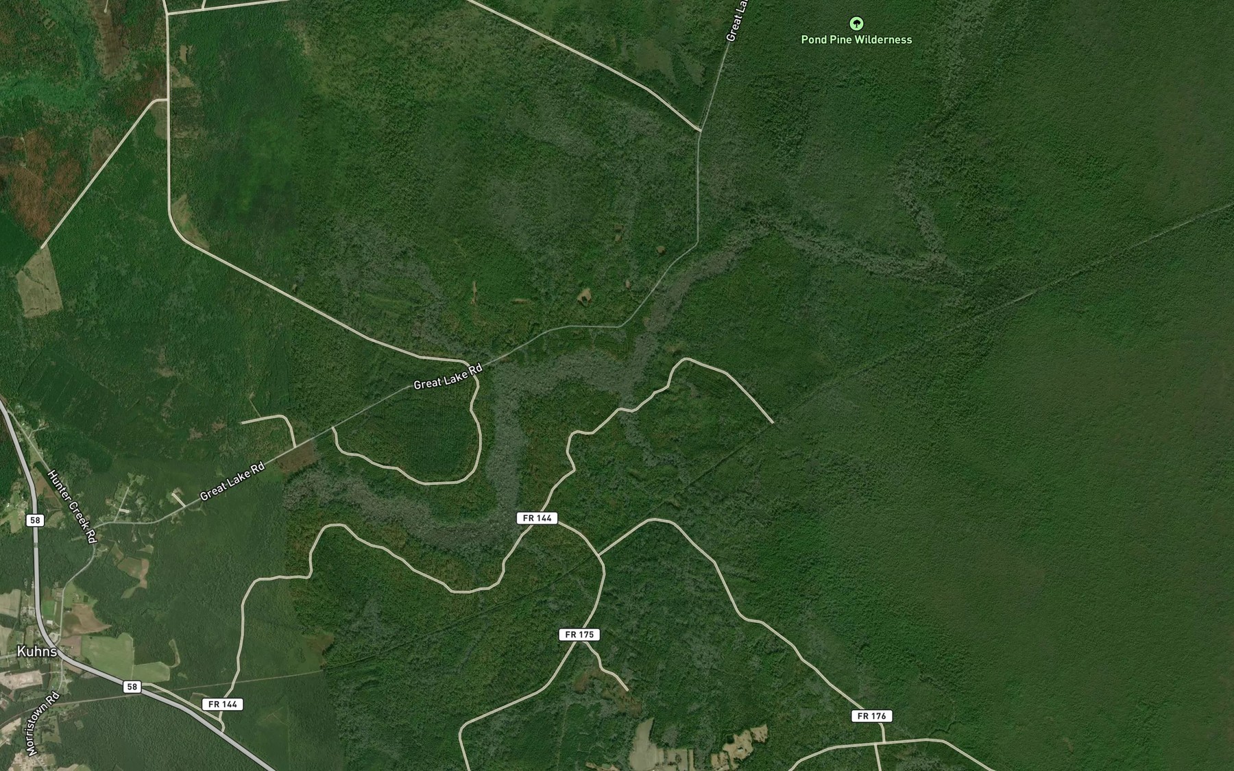 Satellite map of the Wolf Swamp