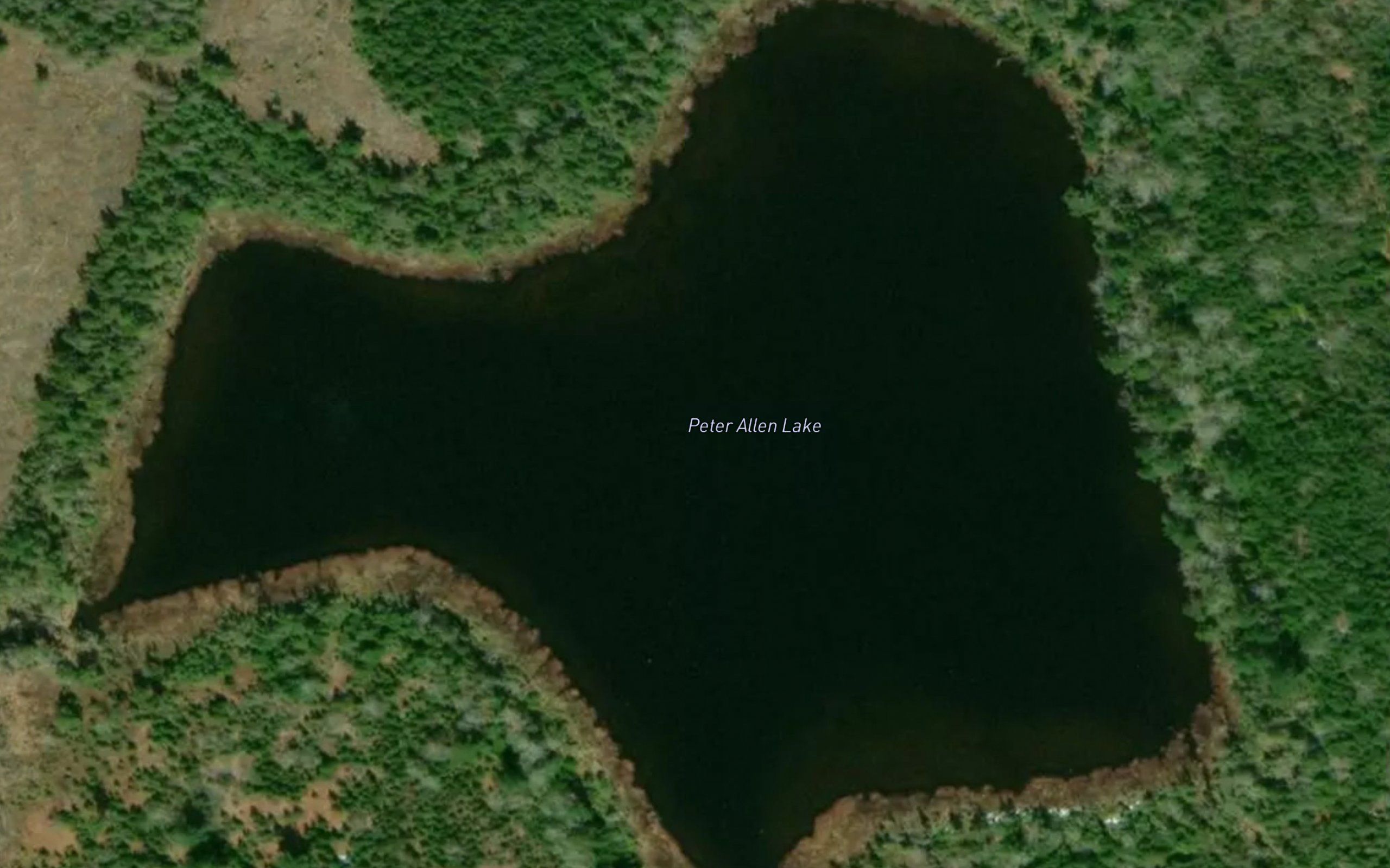 Peter Allen Lake
