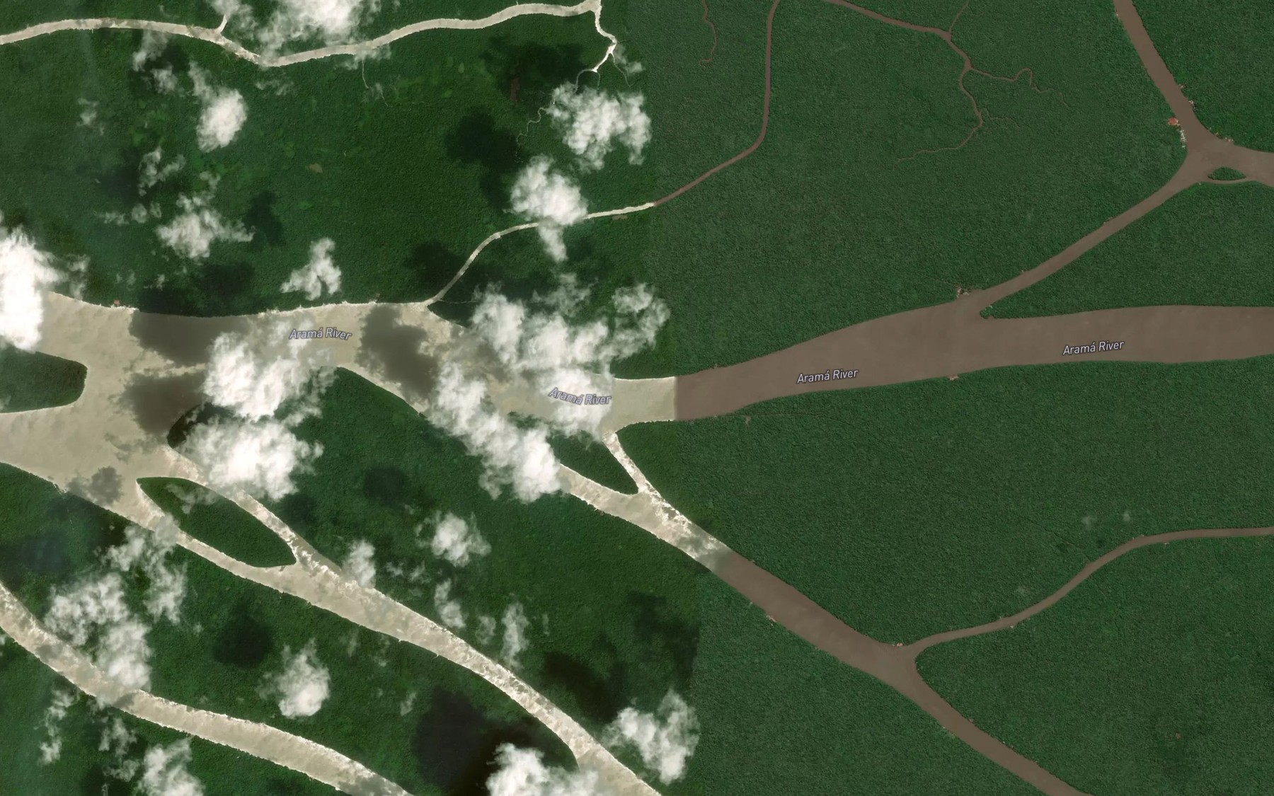 Satellite map of the Rio Arama