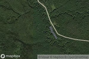 Poperechnaya Yaborkovka