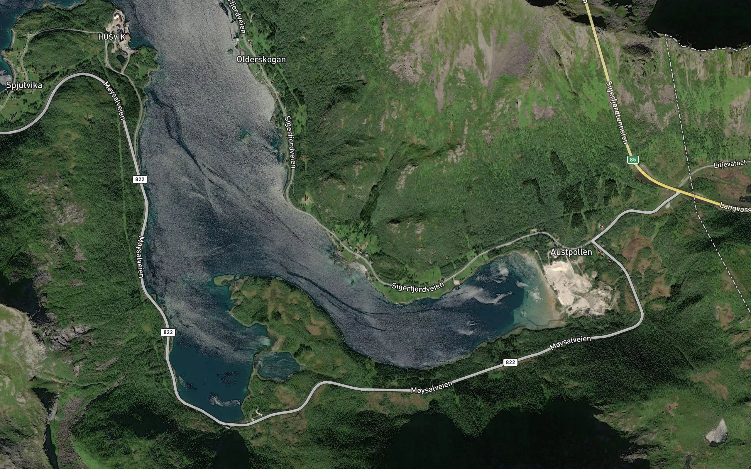 Innergardselva