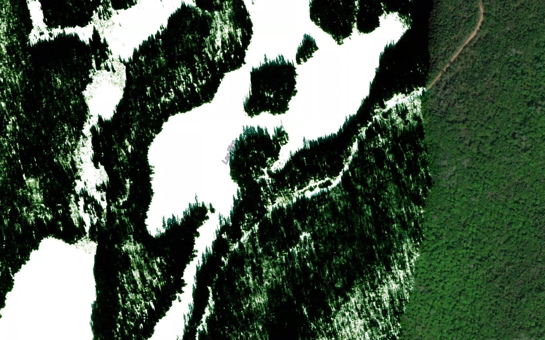 Satellite map of the Lac Pico