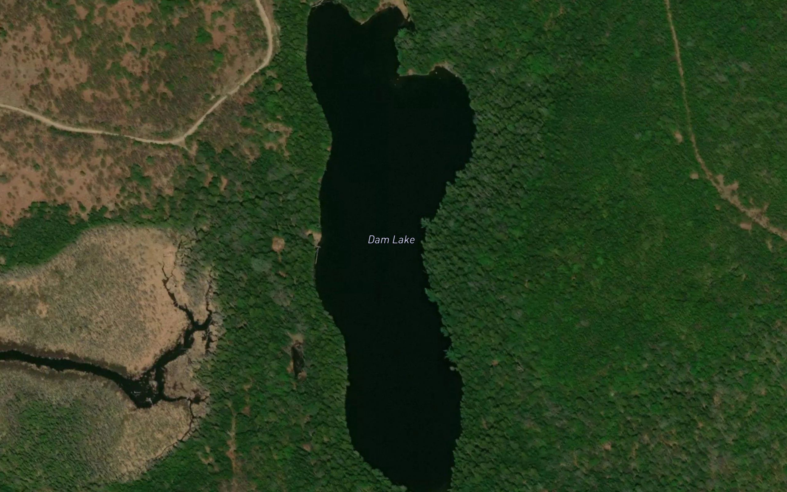Dam Lake