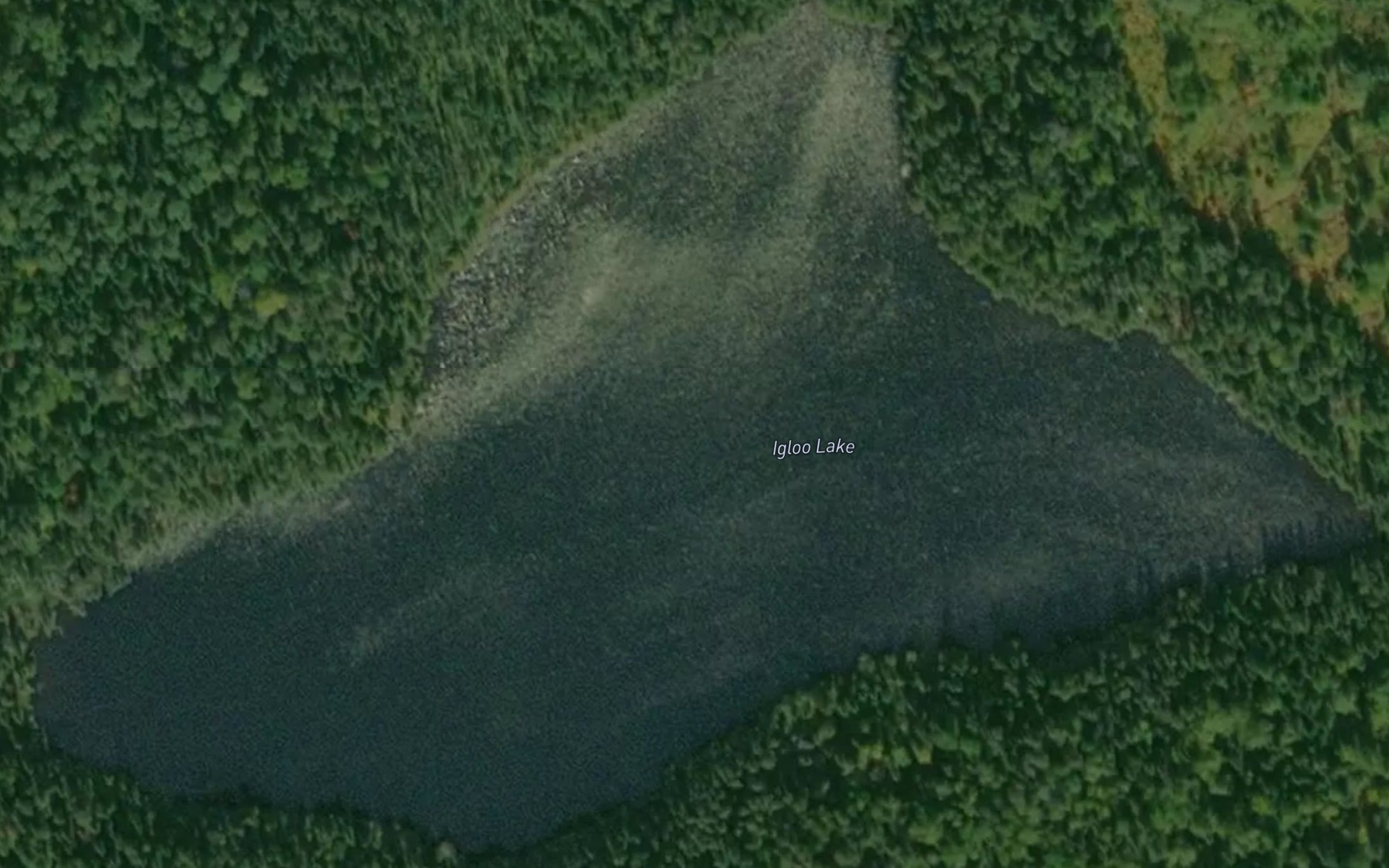 Satellite map of the Igloo Lake