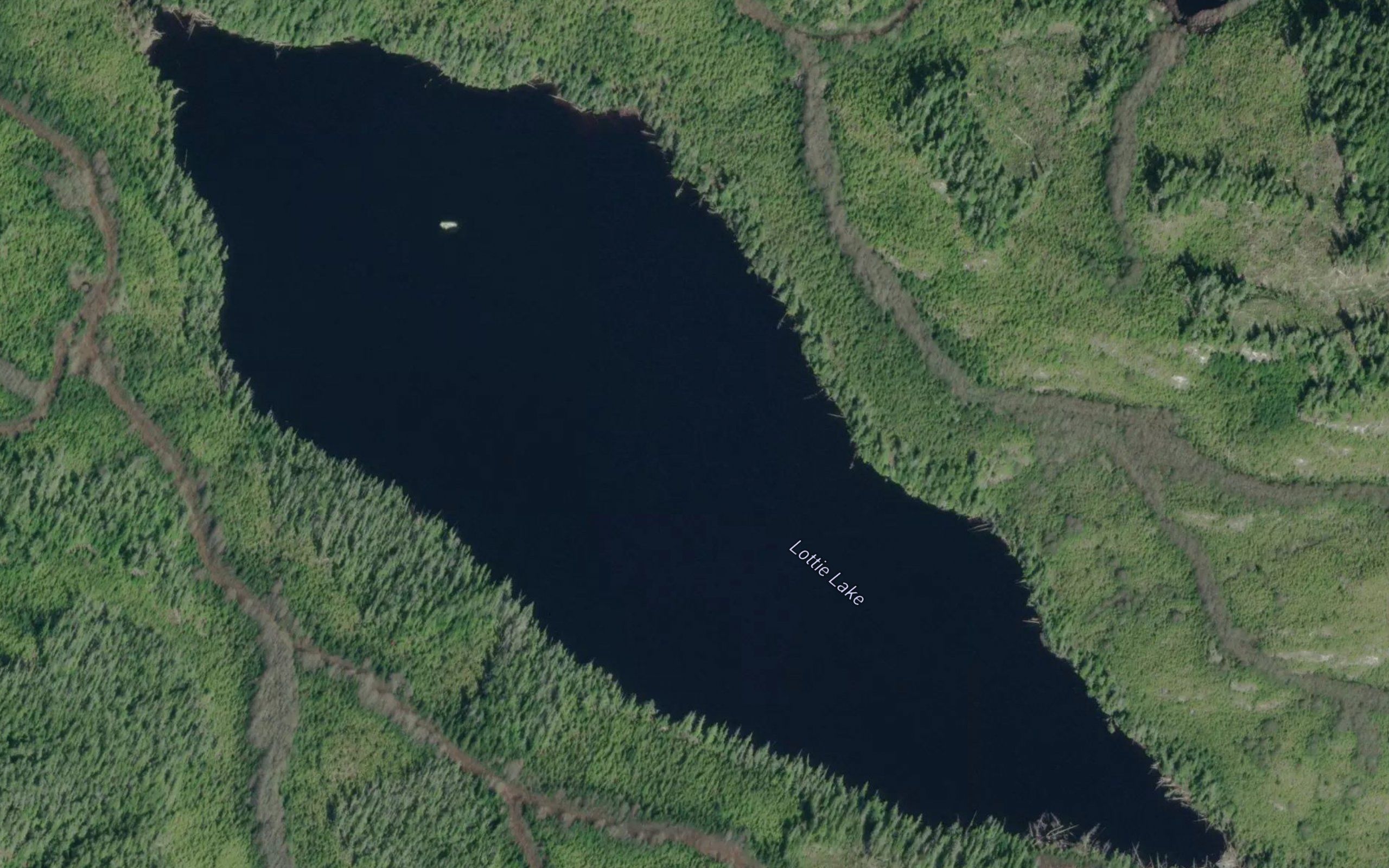 Lottie Lake